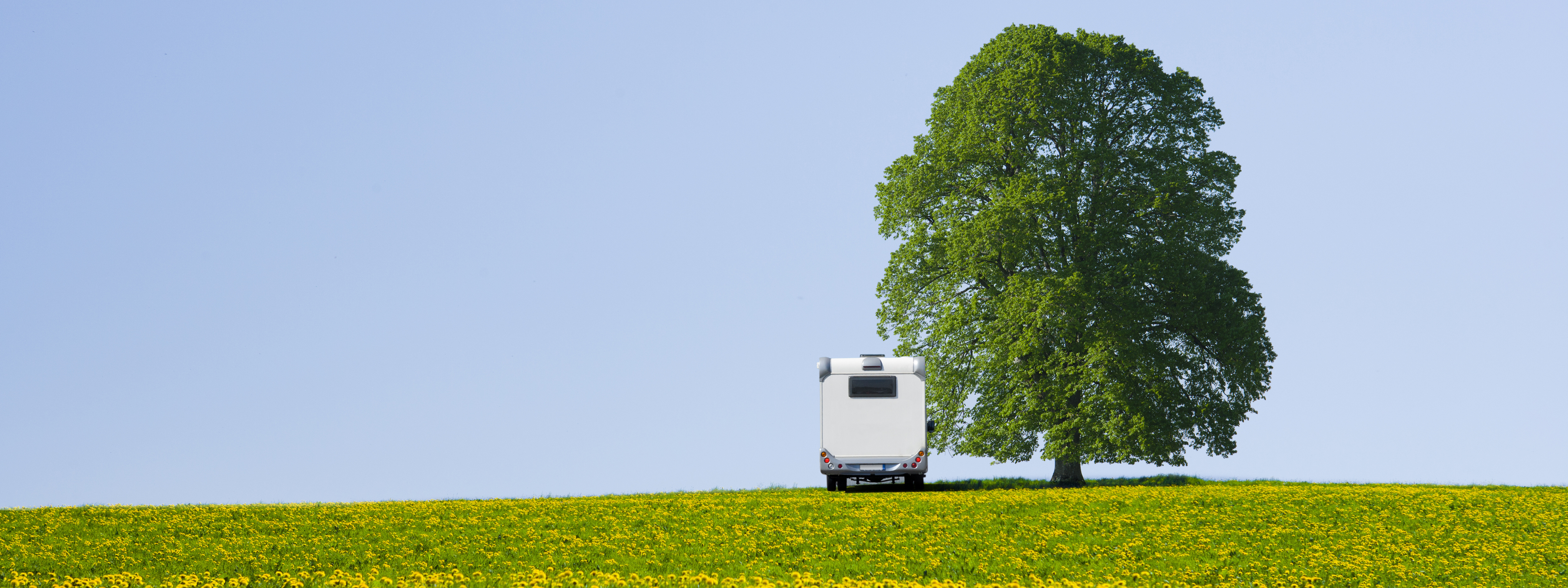 Terego Blog | 7 Simple Tips to Make Your Camping More Eco-Friendly | Terego